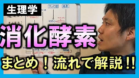 تحميل 消化酵素 覚え方 Mp4 Mp3