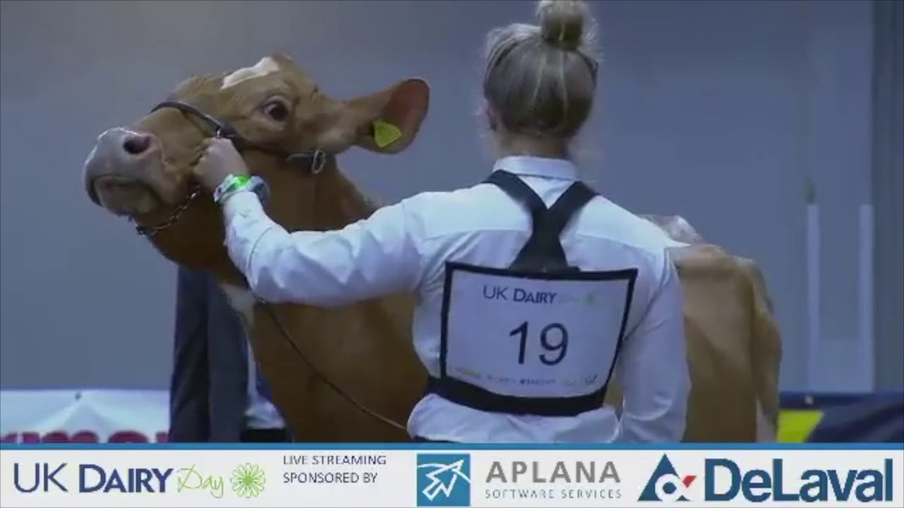 UK Dairy Day 2017 Live Streaming YouTube