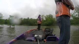 Pickwick May 2014