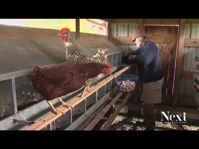 Amidst egg shortage, Colorado introduces new law