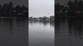 Journeying Through, Kerala Backwaters, India, G Adventures from adelasia d. 🇮🇳