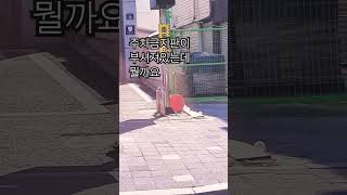 부서져있는 주차금지판