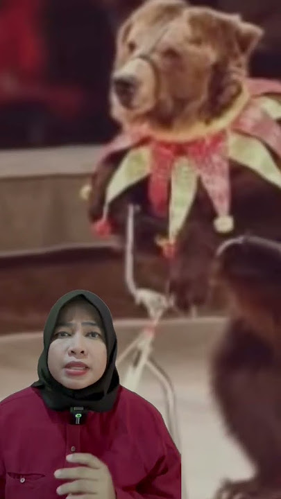 CERITA ASLI MASHA AND THE BEAR #viral #kisahnyata #mashaandthebear #asalusul #shortvideo #shorts