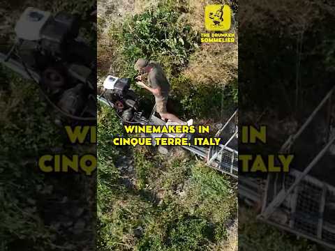 How #winemakers get around their #vineyards in #cinqueterre #italy.