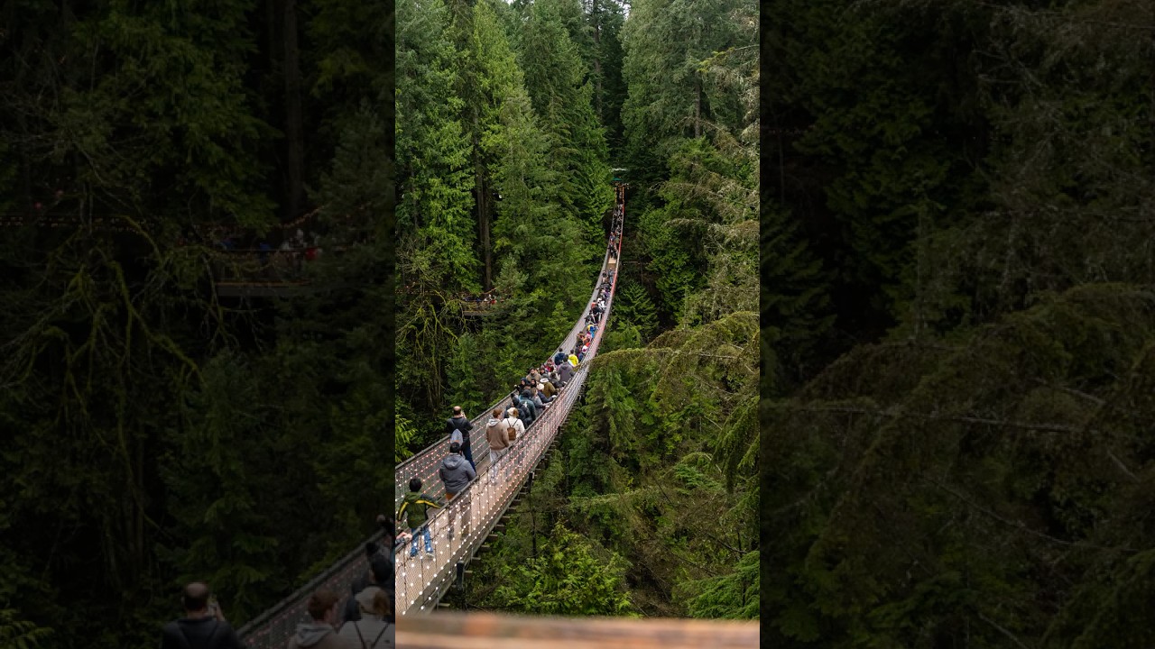 Capilano Suspension Bridge Park | Sony a7R V, 24-70mm f/2.8 GM II