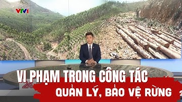 Tiêu điểm: Vi phạm trong công tác quản lý, bảo vệ rừng
