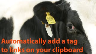 Affiliate links with Clipboard Fusion
