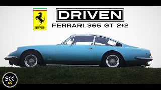 FERRARI 365 GT 2+2 1969 Queen Mary | 4K | Drive in top gear with V12 engine sound | SCC TV