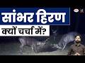 Why is the Sambar Deer in the News? | Current News | Drishti IAS