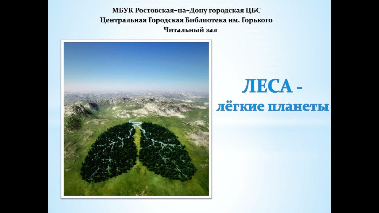 Легкие нашей планеты проект 10 класс география