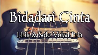 BIDADARI CINTA - Novi Ayla Solo Vocal Pria & Lirik