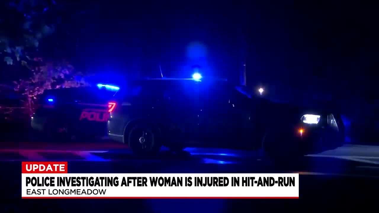 Police Seek Witnesses After Woman Seriously Injured February 3 Hit-and-run