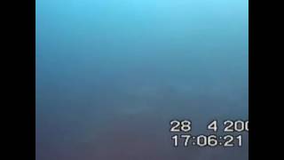 Diving accident  Blue hole yuri lipski footage