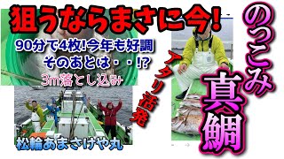 【剣崎沖】さすが春の乗っ込み真鯛　アタリ活発90分で4枚　松輪あまさけや丸【久里浜沖】