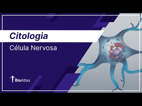 Célula Nervosa (Neurônio)