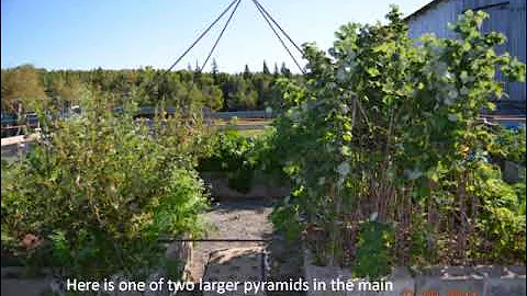 Potato Day 2011 Pyramid Charles Hubbard film de Pa...