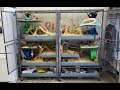 Double Critter Nation Degu Cage Tour (Links for accessories in description)