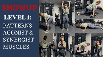 SHOWUP LEVEL 1: PATTERNS - AGONIST & SYNERGIST MUSCLES | ACT7VE