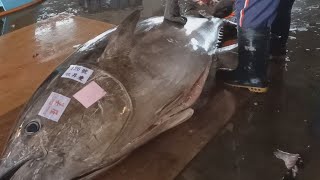 Fluency Cutting Skills of 451kg Giant Bluefin Tuna