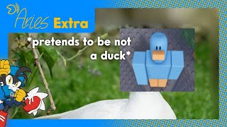 obby but youre a bird but i use the roblox recorder