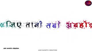 ल हमर टटल Shorts Creation