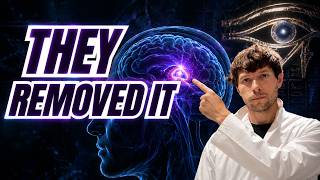 The Pineal Gland Is Far Stranger Than We Thought