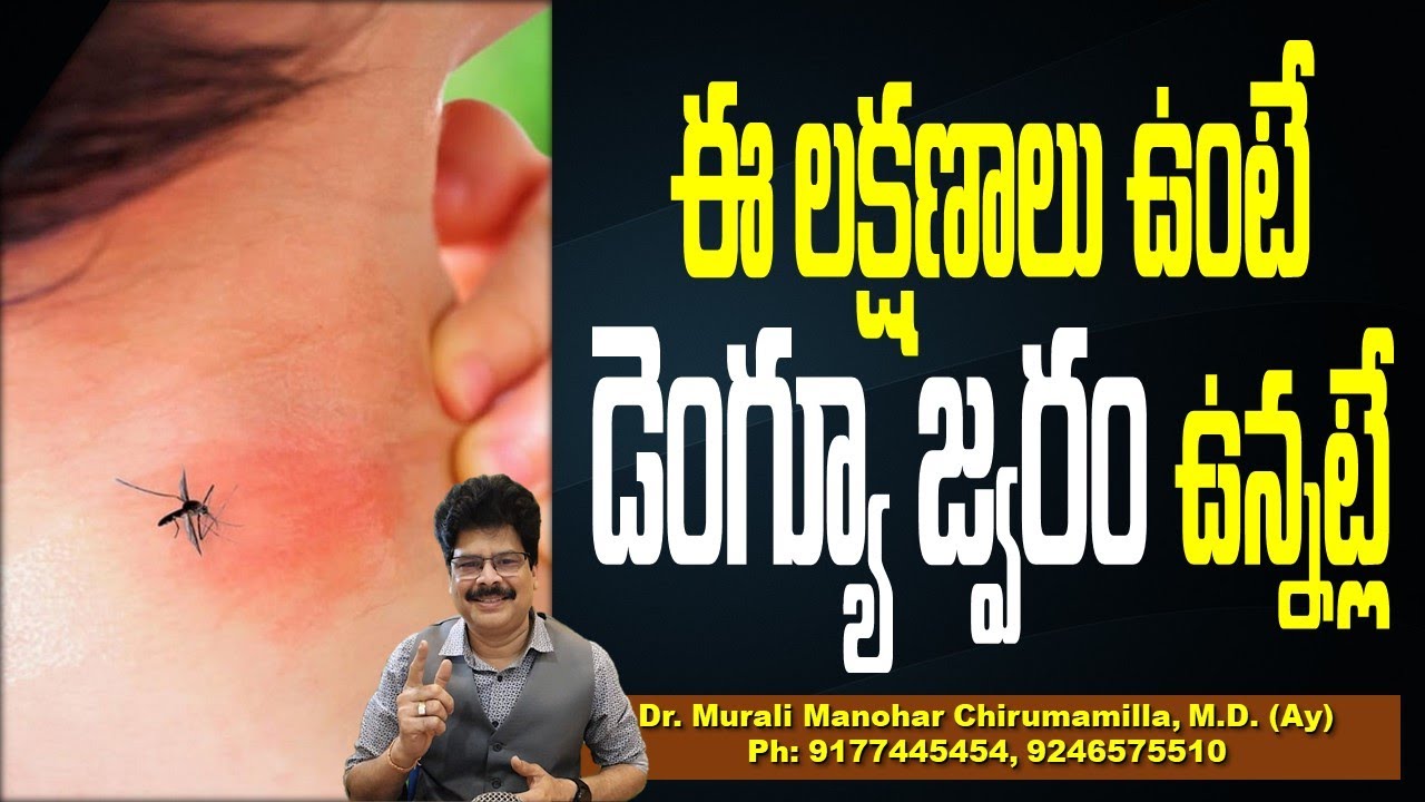 ఈ లక్షణాలు ఉంటే డెంగ్యూ జ్వరం ఉన్నట్లే! Dengue Fever: Causes, Symptoms, Treatment, And Prevention