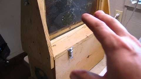 Moving observation hive into the house with cold swarm Part 1 of 2