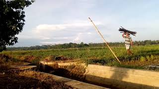 Kampung halaman .... Kab.#Purworejo