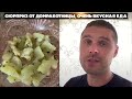 Сюрприз от домработницы. Очень вкусная еда от души