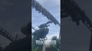 Ride Like The Wind What’s Your Favorite Rollercoaster