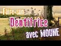 Faire son dentifrice au citron  la recette de moune