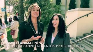 The Police Canine Encounters Protection Act In California by World Animal News 291 views 6 years ago 1 minute, 22 seconds