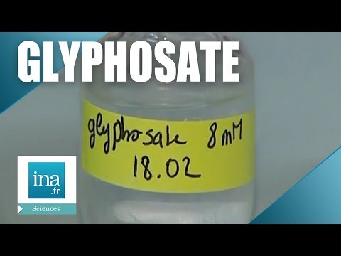 2005 : Alerte sur le danger du Glyphosate | Archive INA