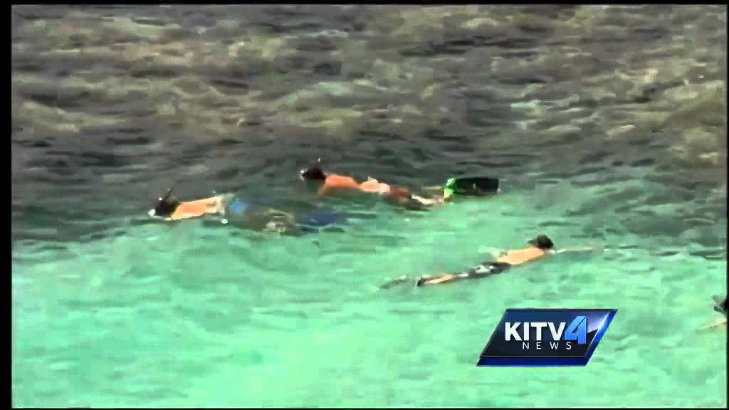 Woman in critical condition after nearly drowning at Hanauma Bay YouTube