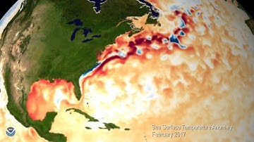 Sea Surface Temperatures 2017