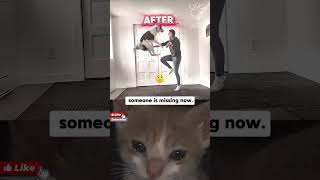 They still miss their dog #cat #dog #animals #sad #shorts