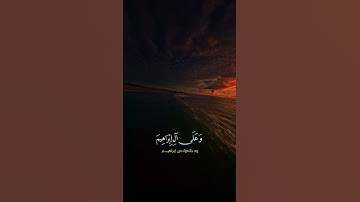 سورة الانبیاء..رعد محمد الكردی #راحة_نفسية #اكسبلور #المصحف #اكسبلورهاشتاقات #فولو