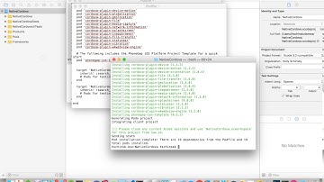 Native+Cordova iOS Demo