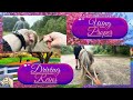 WILD Wagon Ride Adventure with a TWIST!