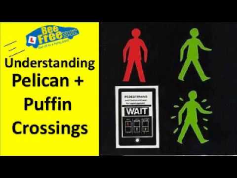 Road crossings explained - zebra, pelican, puffin and toucan crossings