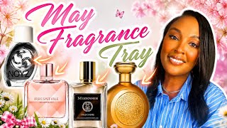 May Fragrance Tray 🌸 Fresh, Feminine, & Addictive Scents I'm Wearing Now