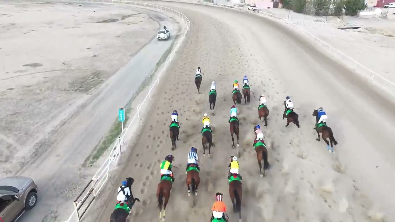 الاجتماع 17 الشوط الرابع الجواد شومي هيرو اسطبل هيف الحجرف