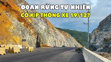 ĐOẠN RỪNG TỰ NHIÊN (XÃ HOÀI ÂN) ĐÃ XONG CHƯA? | CUỐI 11/2025