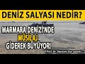 DENİZ SALYASI NEDİR? MARMARA DENİZİ'NDE MÜSİLAJ GİDEREK BÜYÜYOR!