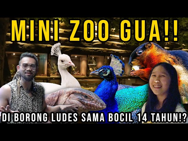 KAGET ANJIRTTT!!! MINI ZOO GUA!! DI BORONG LUDES SAMA BOCIL 14 TAHUN!!!!? #AudreyA #KINGOFTHEJUNGLE class=