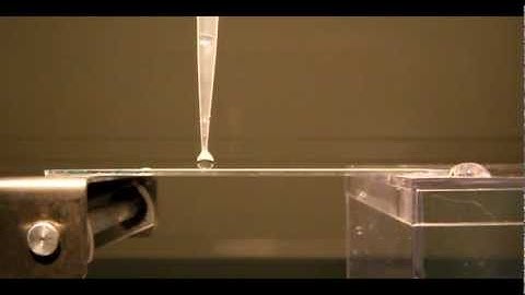 Water droplets rolling off a superhydrophobic cellulose surface