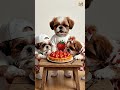 Strawberry Tart Magic with Cute Shih Tzu Family 🍓🐶