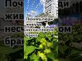 Почему люди живут в несчастливом браке #токсичныеотношения #страхивотношениях #ложьвлюбви