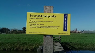 Regionieuws TV 7 oktober 2025 Waterkwaliteit glastuinbouwgebieden blijft te laag